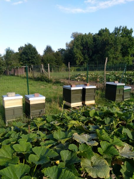 Standort Goßmarer Fließ