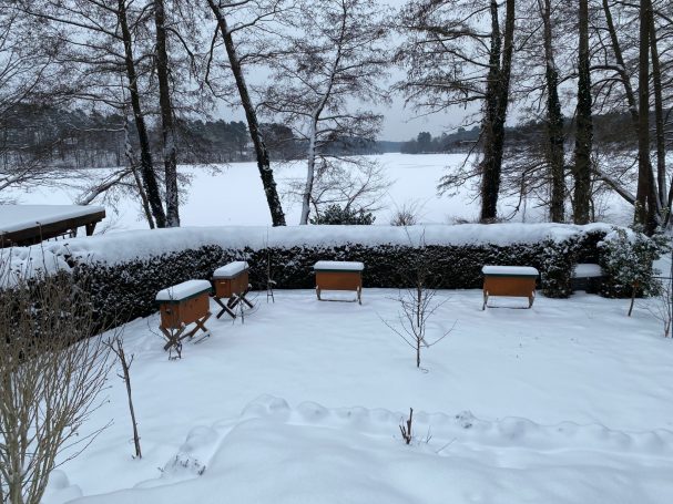 Standort Am Mochow See