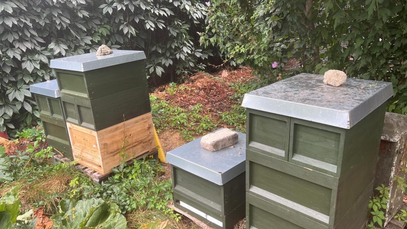 Standort Berliner Str.