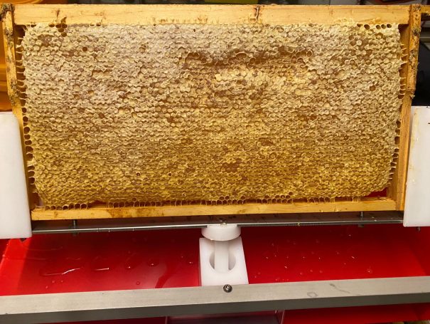 Bereit zum Schleudern